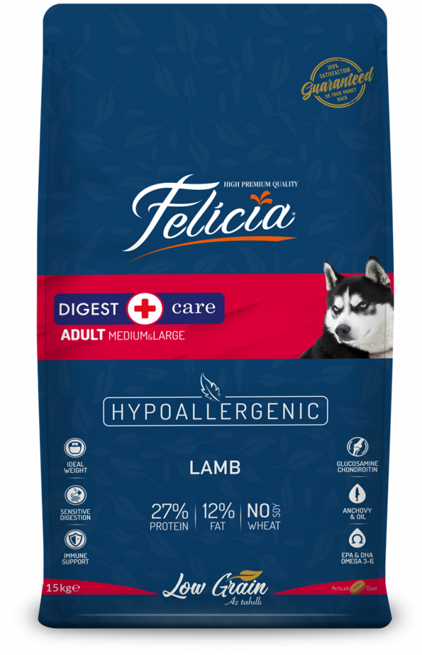 Felicia Digest Care Adult Lamb Medium & Large Felicia Digest Care Adult Lamb Medium & Large